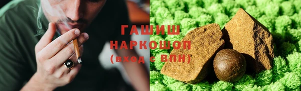 молекула духа Богданович