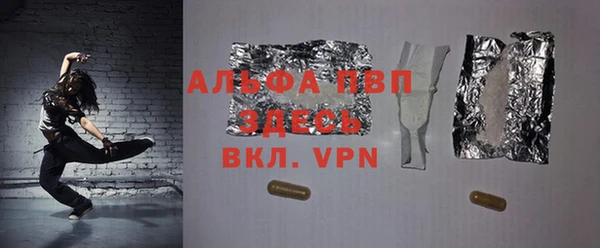 молекула духа Богданович