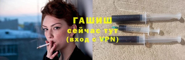 молекула духа Богданович