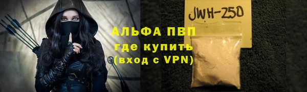 молекула духа Богданович