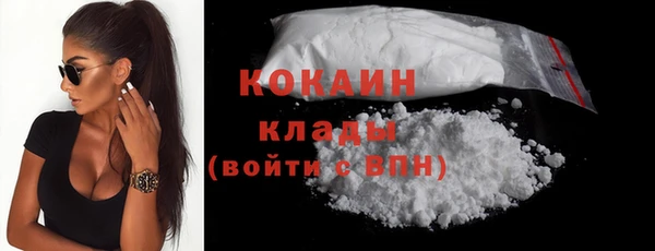молекула духа Богданович