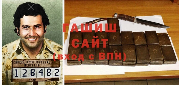 молекула духа Богданович