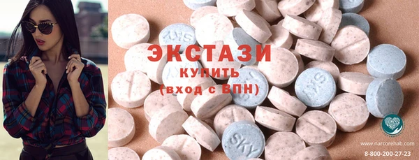 молекула духа Богданович